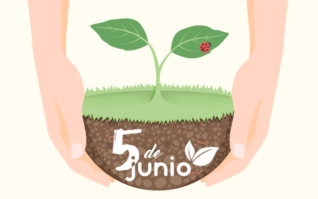 Cartel día mundial del medio ambiente