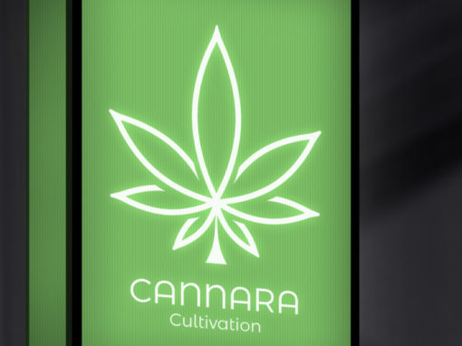 Diseño de marca